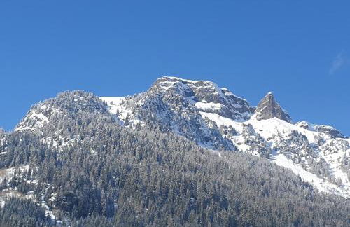 Ciamorc Relax & Sport Appartament for max 2 Adults 1 child 1 infant - Foto 17