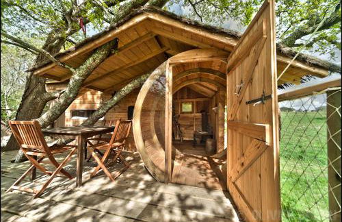 Dihan Evasion - Foto 42