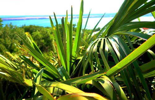 Apartments Sunset Jadranovo - Photo 2