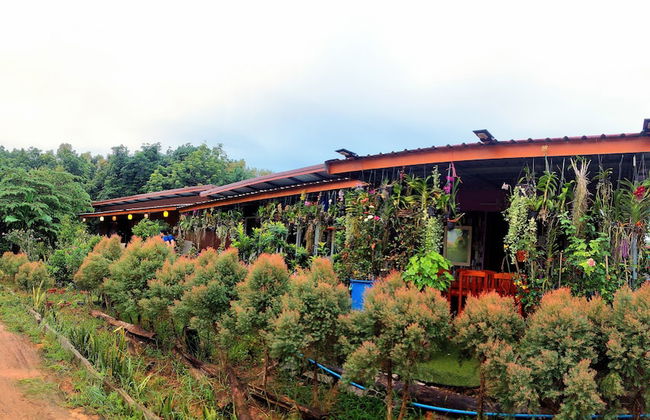 Phulunngkhawiew Homestay - Foto 11