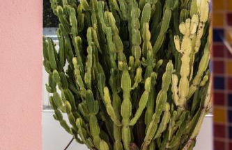 FLH Caparica Town House with Pool - Foto 35