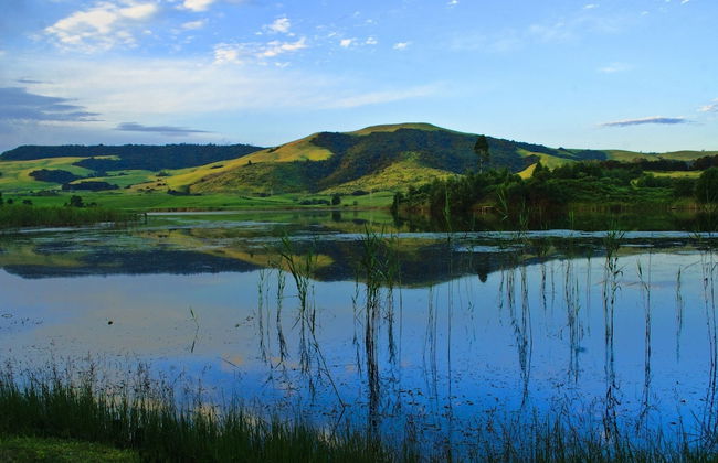 Beacon Vlei Guest Farm - Foto 41