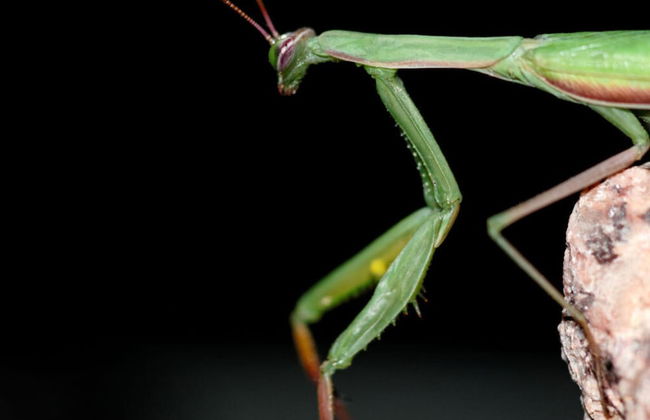 Vakantiewoning in Zwarte Woud - Foto 11