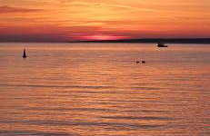 Green Maslina -Beach Apartment - Photo 24