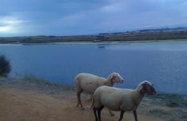 Villa Ecluses Mediterranee - Foto 13