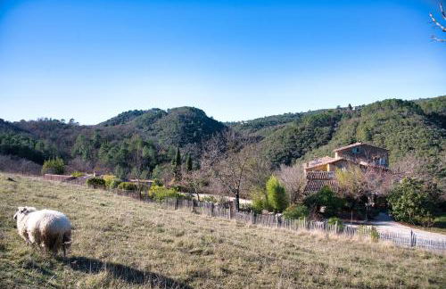 Mas Suéjol - Foto 76