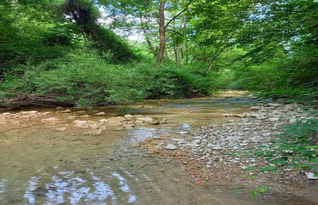 Spacious Countryside Escape - Foto 30