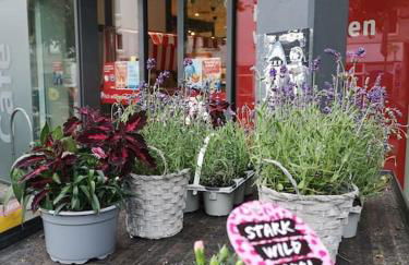 Exklusive 3-Zimmer-Wohnung, 2 Ebenen, Messe, Zentrum, 67 m2 - Foto 20