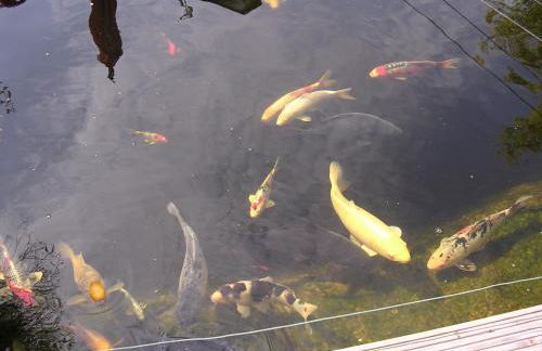 Ferienwohnung Müller Bad Segeberg - Foto 14