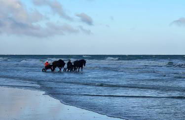 DOMAINE DU YEARLING - Photo 30