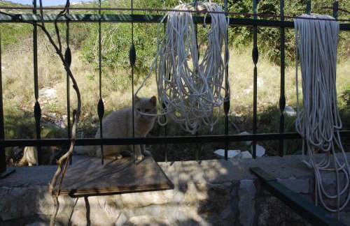 Apartments Silvana - Foto 8