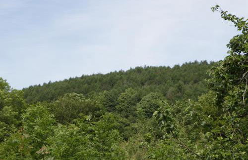 Graig Cottage - Foto 38