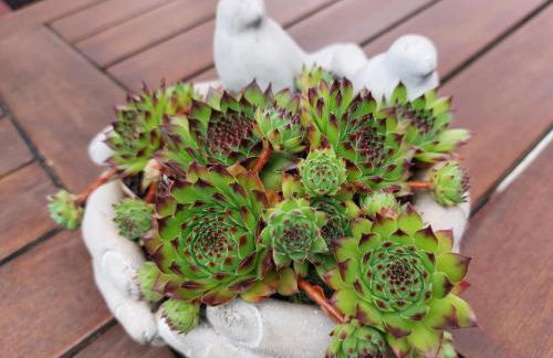 Ferienhaus in Bernau bei Berlin - Foto 70