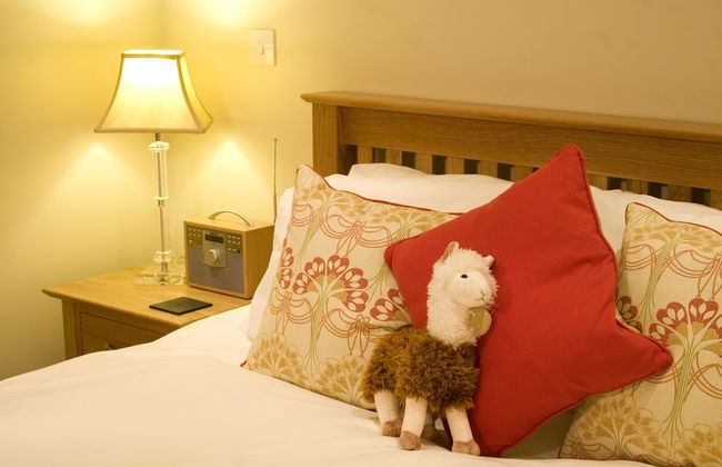 Ffarm Country House - Foto 41