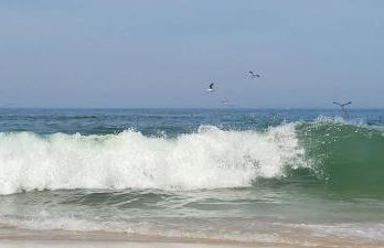 Big Fish 1 - Charming Beach Apartment - Foto 14