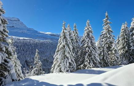 Residence les Pleiades - Foto 60