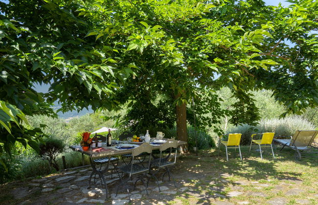 Cafaggio di Sopra - Photo 37