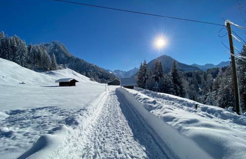 Landhaus am Plattenbichl - Luxus Apartment mit Pool und Sauna - im Sommer Bergbahn inklusive - Photo 23
