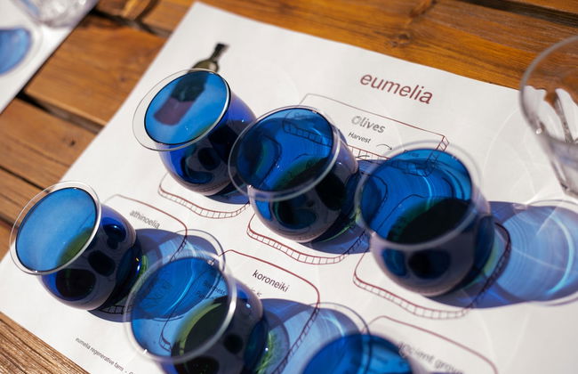 eumelia organic agrotourism farm - Photo 22