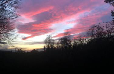 Beautiful Listed Mansion with incredible woodland views - Photo 5