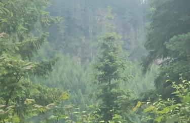 Blackberry Bunkhouse - Foto 30