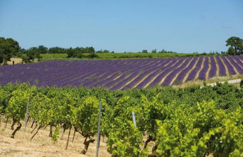 gîte du Domaine Jaume - Foto 32