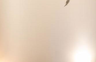 Aux portes de Lyon Tout confort emplacement idéale Netflix - Foto 16