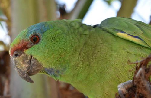 MelBliss Gostoso - Foto 78