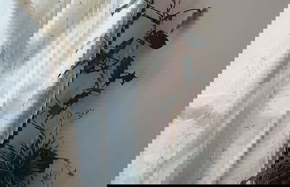 Apart Guerrero - Photo 4