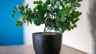 Castlefern House - Foto 3