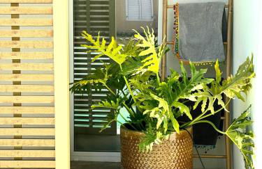 Casa di design con mini-pool - Foto 9