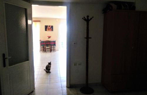 Διαμέρισμα 2 υπνοδωματίων, κοντά στη Λευκάδα - Foto 5