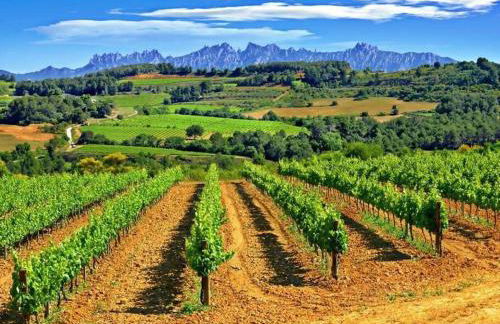 Apartamento con WIFI y piscina cerca del mar - Foto 48