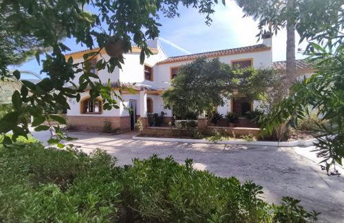 Paredejas del Rey - Foto 30