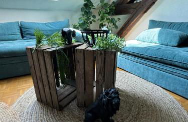 Jungle Cosy - Foto 5