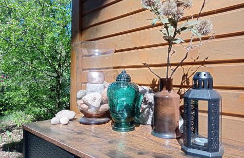 Wald und Wohlsein - Foto 16