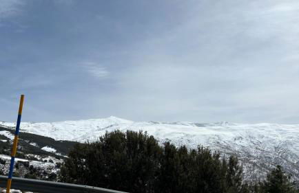 Biznaga Nevada - Foto 39