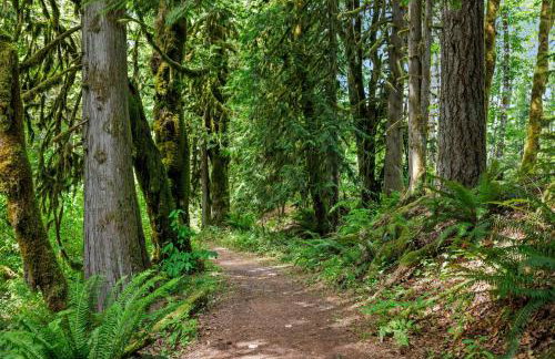 Retro A-Frame Cabin - Hot tub Firepit & Fireplace - Foto 25