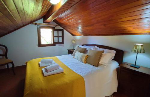 Casa do Rio, Natureza - Nova Gestão - Foto 38