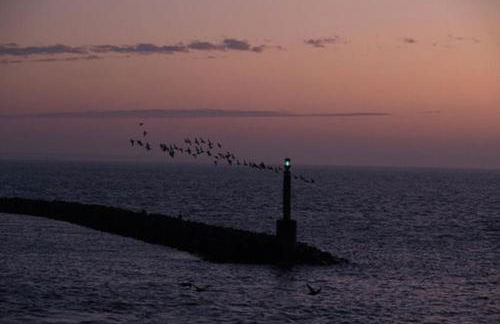 Eiland Wangerooge - Foto 16