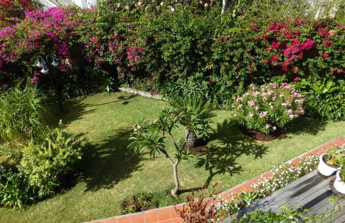 Villa Erika Madeira - Foto 29