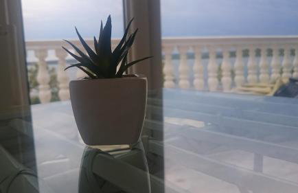 Ocean View Apartments - Foto 57