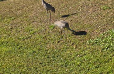 deleated account check other listing - Photo 2