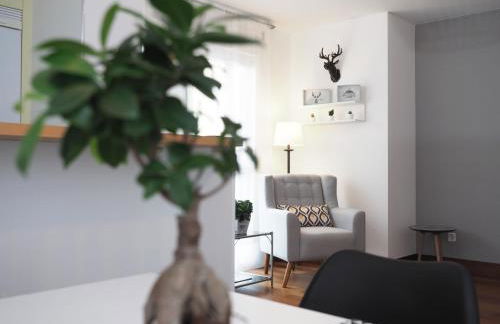 Apartamento Monte Perdido - Photo 15