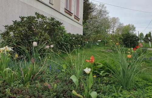 Honighof Vierk - Foto 14