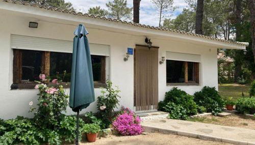 Aventura II - Photo 2