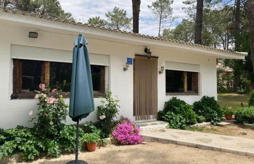 Aventura II - Photo 2