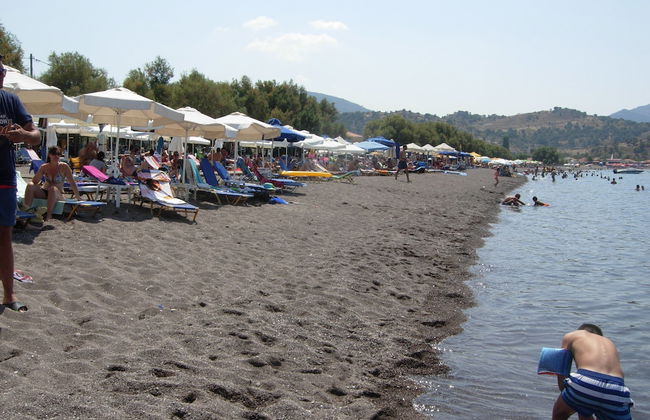 King's View - Photo 12