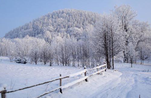 'chata usÓwek' - Foto 48