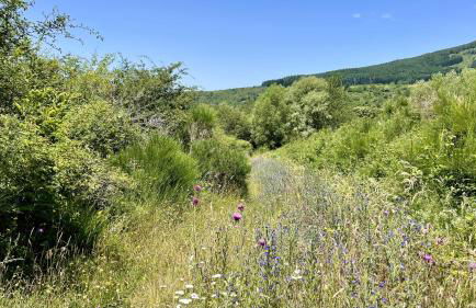 Casa fiordaliso - Foto 61